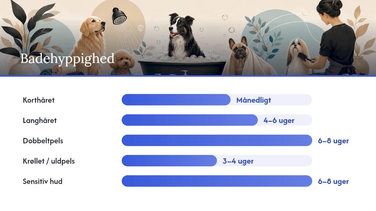 Oversigt over forskellige pelstyper hos hunde samt anbefalinger til plejeprodukter