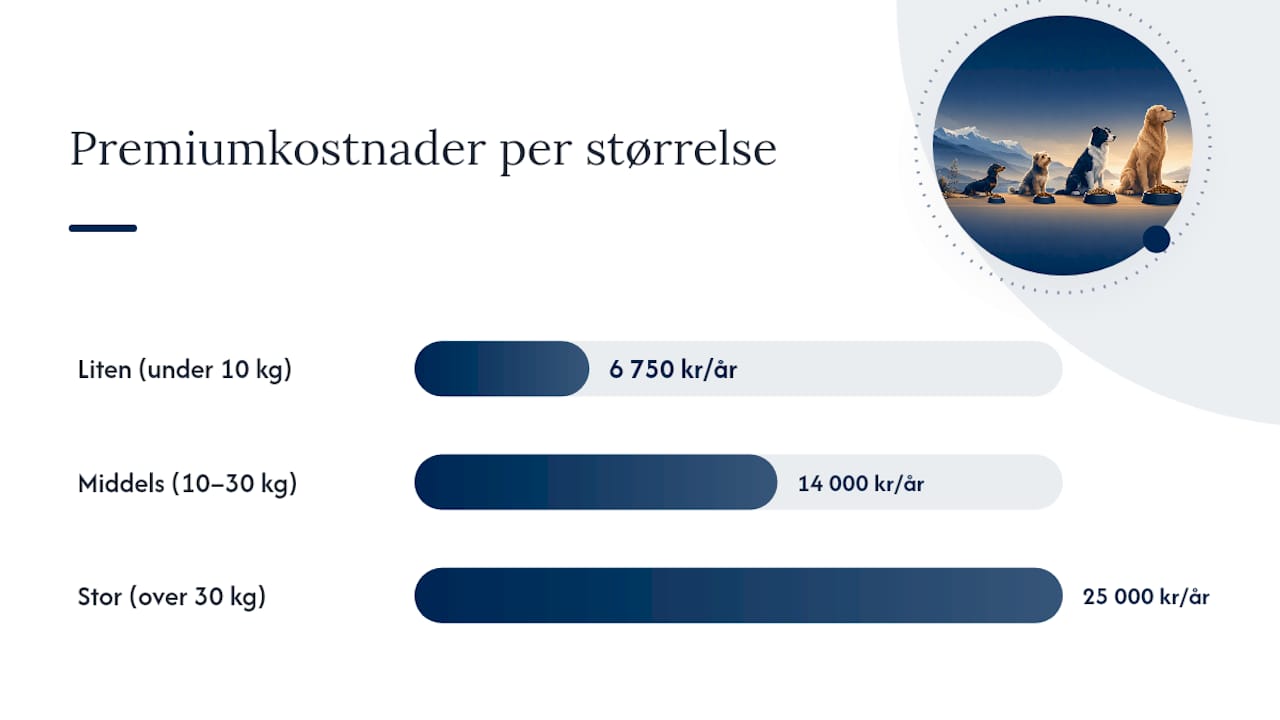 Hva koster hundemat i året? Slik varierer utgiftene etter hundens størrelse og fôrprisklasse