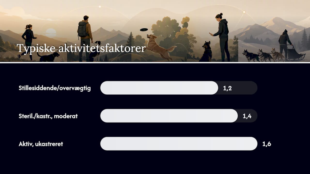 Oversigt over, hvordan du beregner din hunds daglige kaloriebehov
