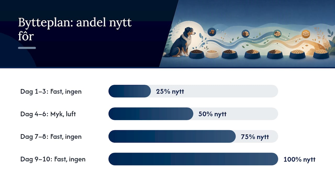 Illustrasjon av stegvis overgang til ny hundemat