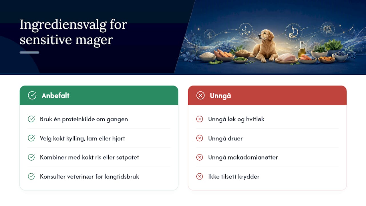 Oppskrifter og ingrediensvalg for hjemmelaget hundemat til sensitive mager — overview diagram