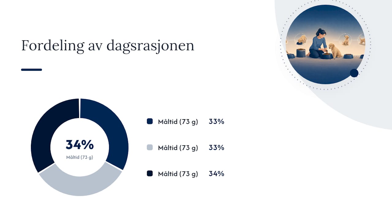 Mengde og måltidsfrekvens: slik regner du ut riktig porsjon — overview diagram