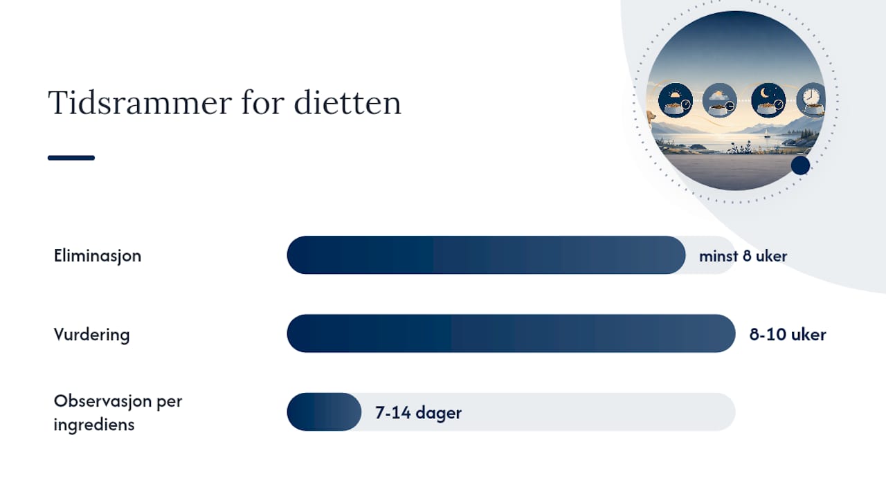 Illustrasjon av ulike faser ved gjeninnføring etter eliminasjonsdiett