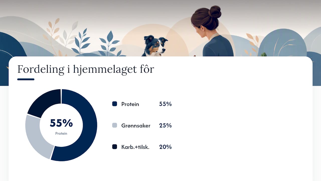 Diagram som viser nøye innføringssteg for sensitiv hundemat