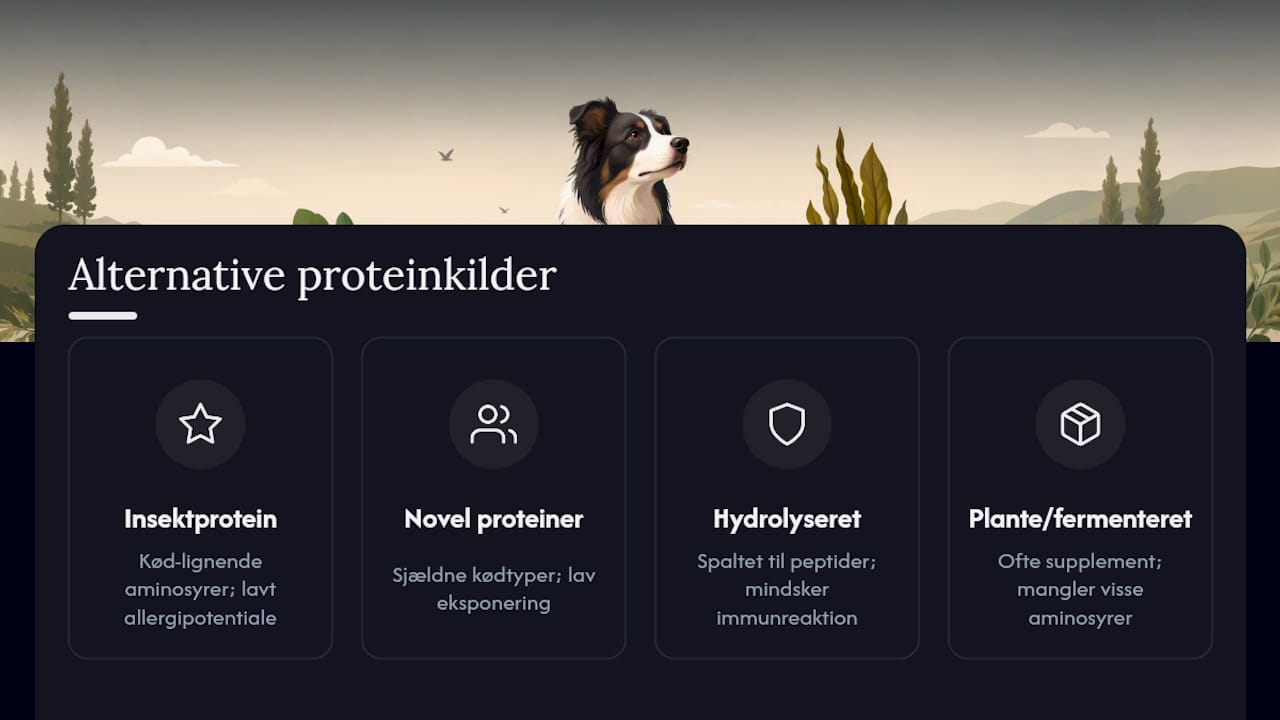 Diagram, der sammenligner kategorier af alternative proteiner til hunde