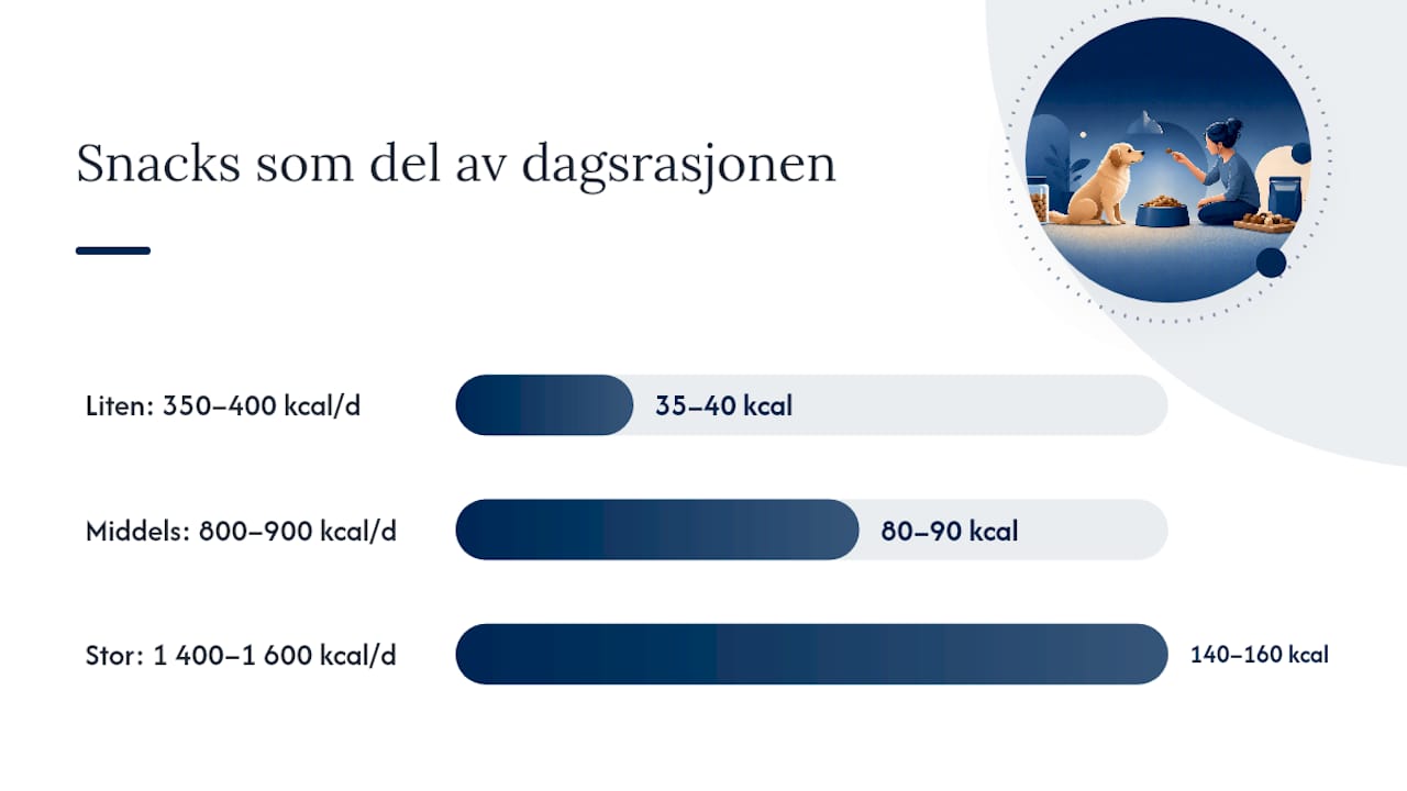 Diagram over porsjonsstørrelser og kalorigrenser for hundegodbiter