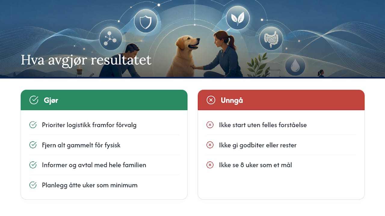 Hva jeg mener faktisk avgjør resultatet — overview diagram