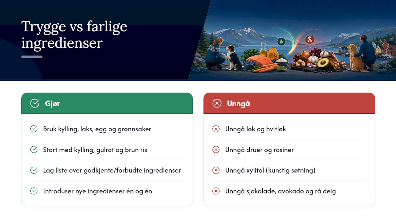Trygge ingredienser og matvarer du må unngå — overview diagram