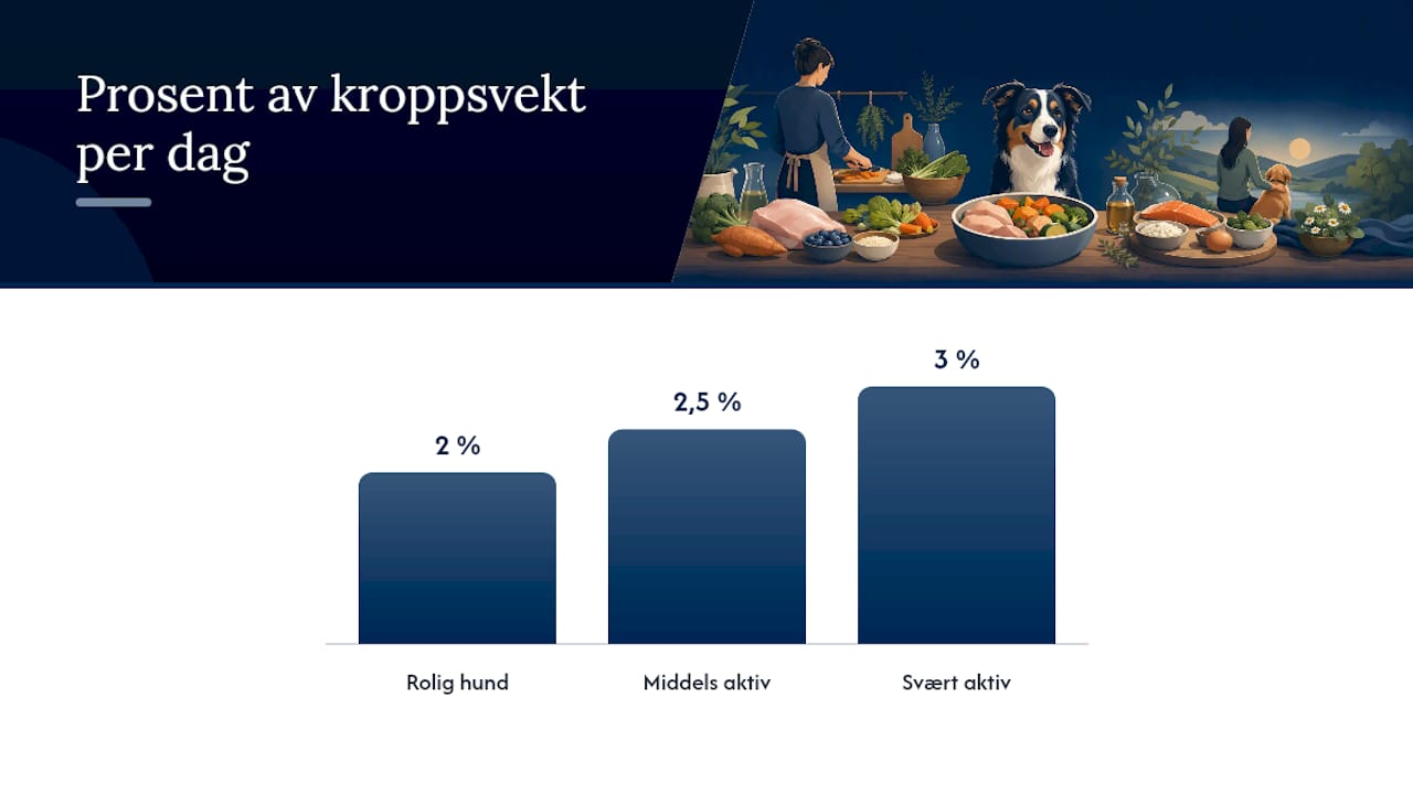 Hvor mye hjemmelaget mat bør hunden få per dag? — overview diagram