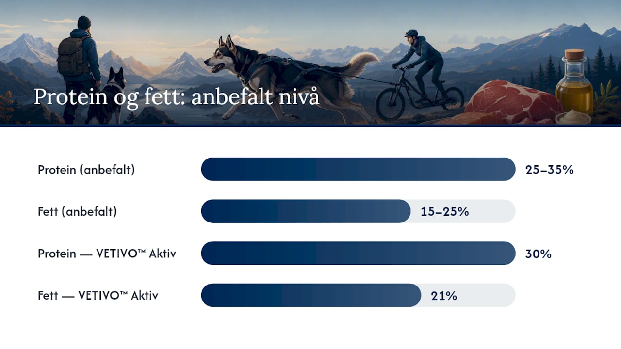 Næringsprofil: hvilke andeler av protein, fett og energi du bør se etter — overview diagram