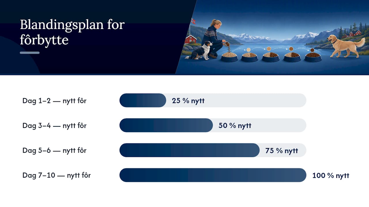 Slik bytter du fôr trygt: praktisk trinnvis plan — overview diagram