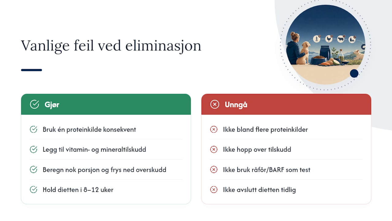 Hvilke feil gjør hundeeiere oftest når de lager allergivennlig fôr? — overview diagram