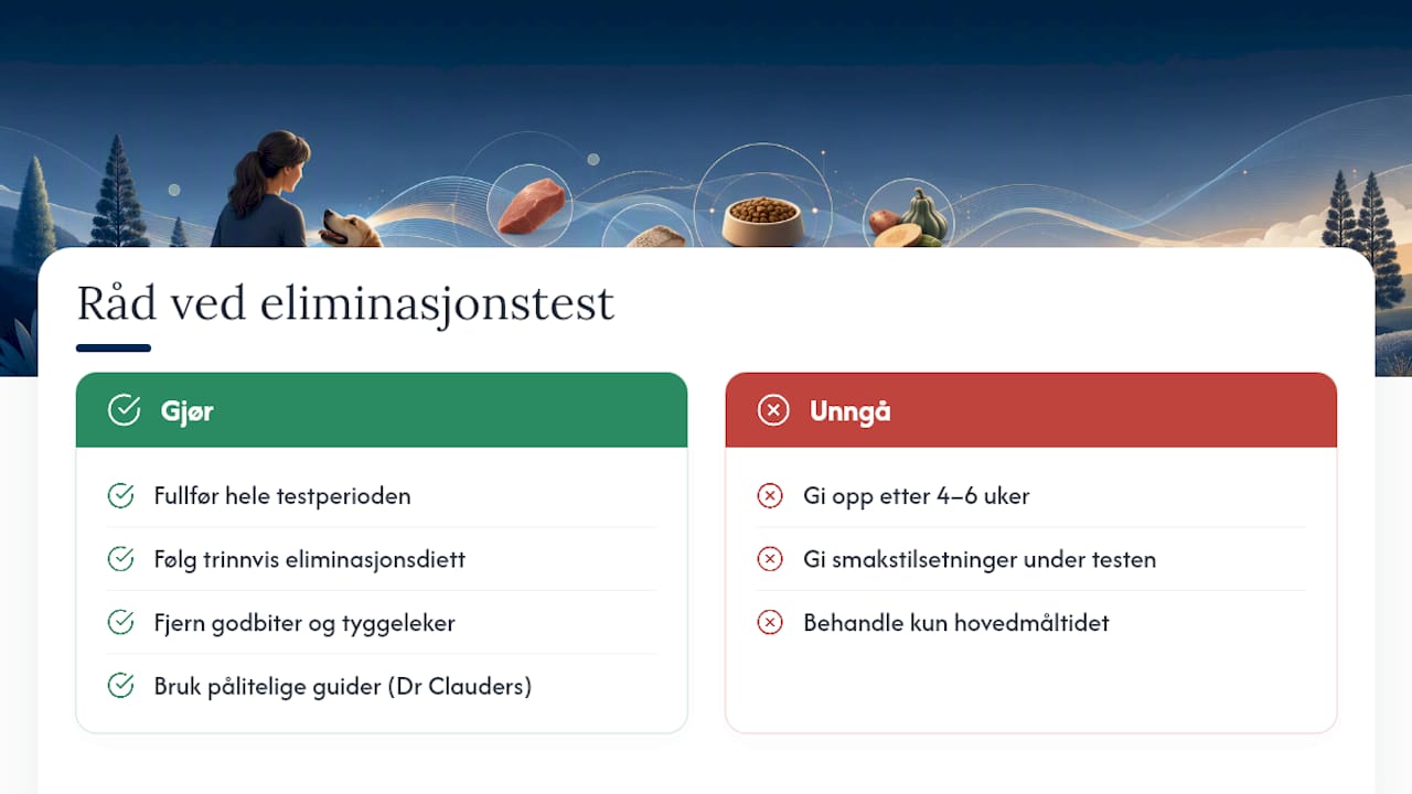 Hva jeg mener etter å ha satt meg inn i forskningen — overview diagram