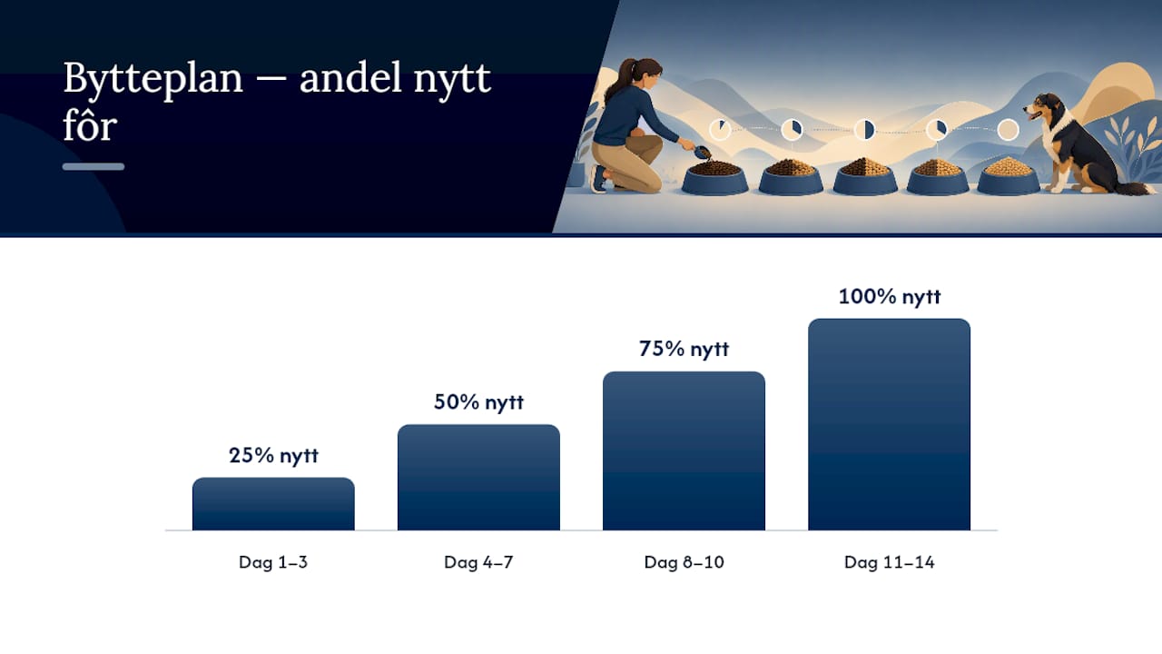 Slik bytter du fôr trygt: dag-for-dag plan og tegn du skal overvåke — overview diagram