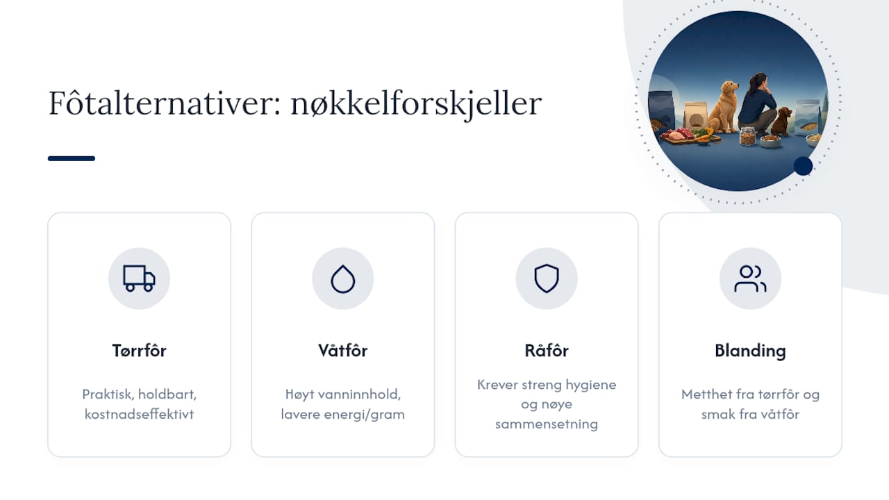 Sammenligning av fire typer hundefôr