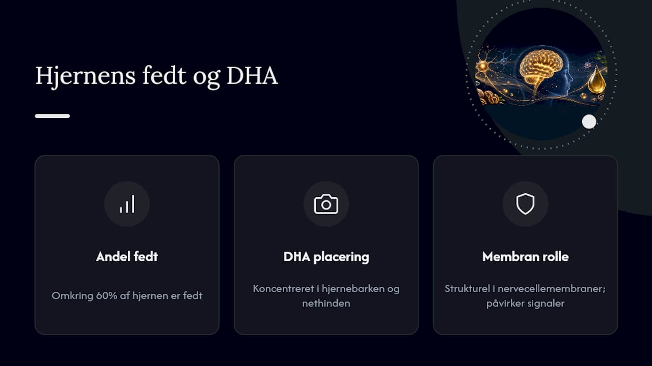 DHA i hjerne, cellemembran og nethinde