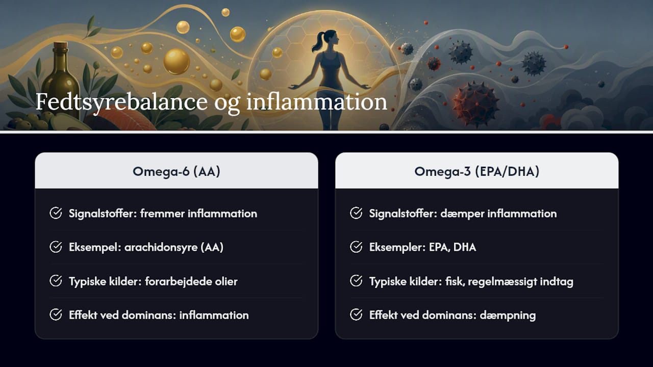 Fedtsyrer, inflammation og immunforsvar — overview diagram