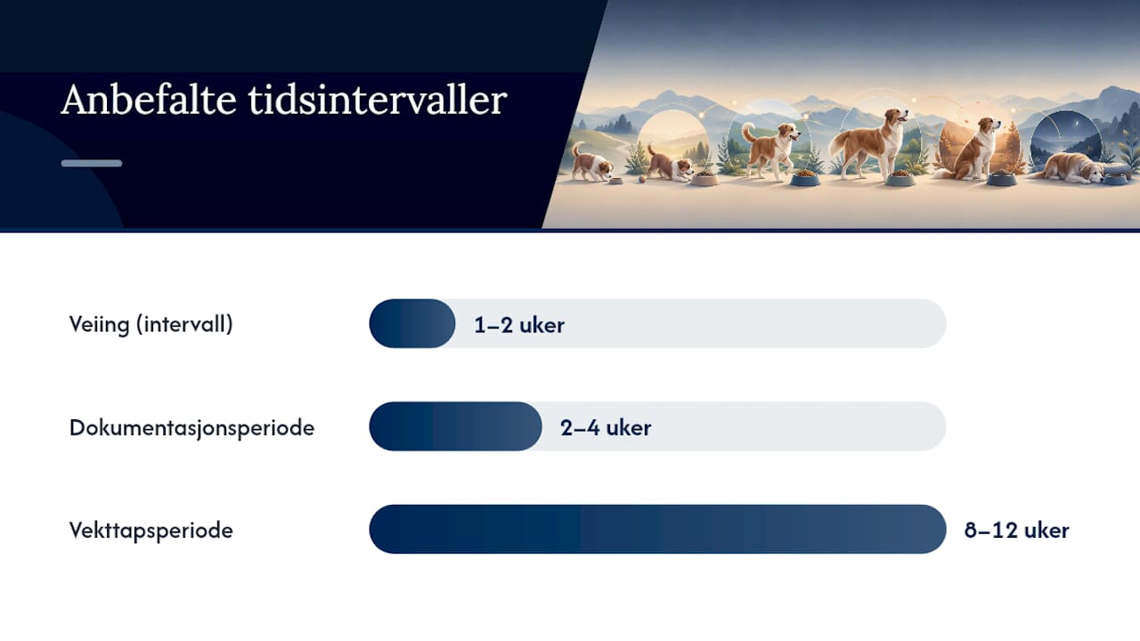 Når trenger hunden spesialfôr eller veterinærhjelp? — overview diagram