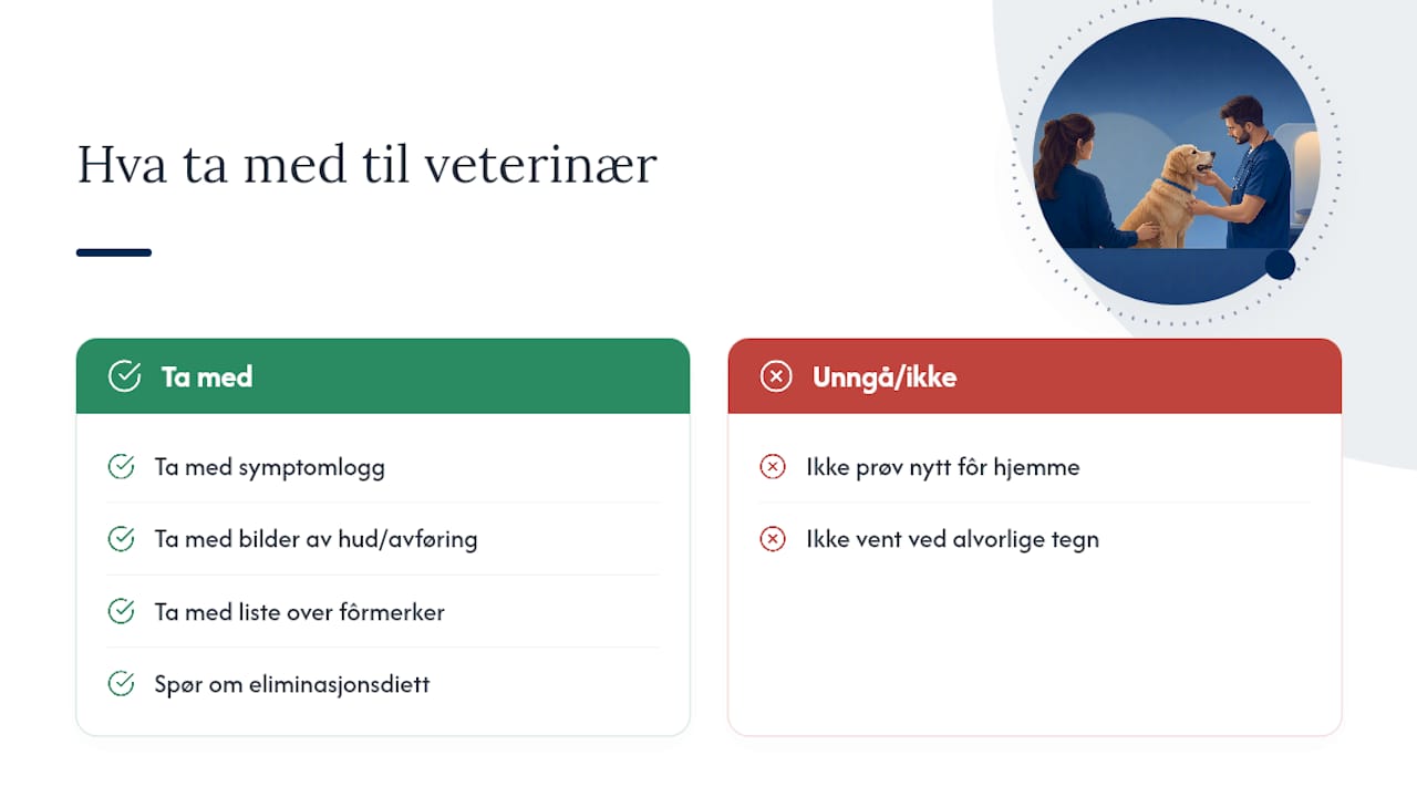 Informasjon du bør ha klar til veterinæren
