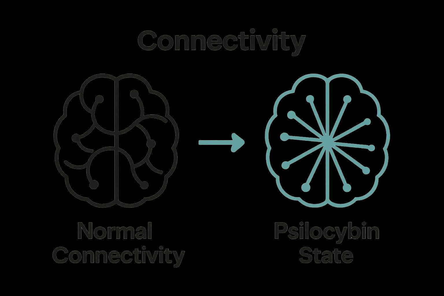 Brain connectivity normal vs psychedelic infographic
