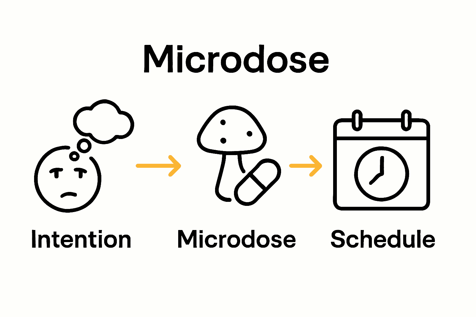 Infographic showing intention, microdose capsule, and dosing schedule sequence