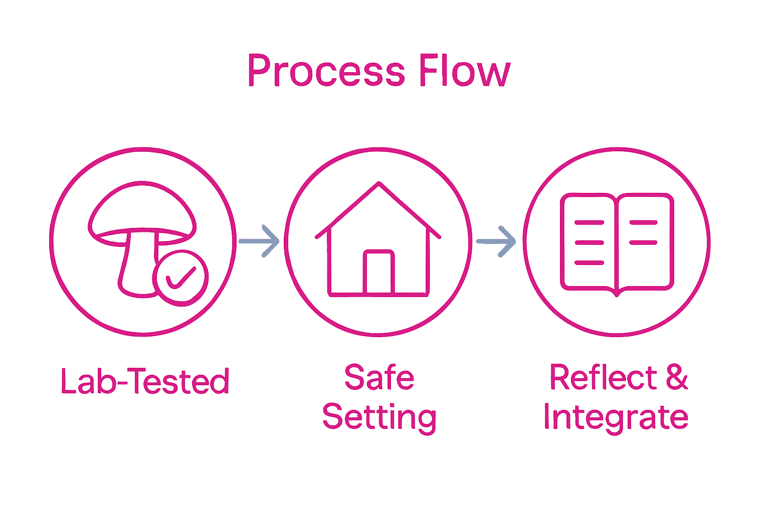 Infographic showing steps: lab-tested product, safe environment, integration.
