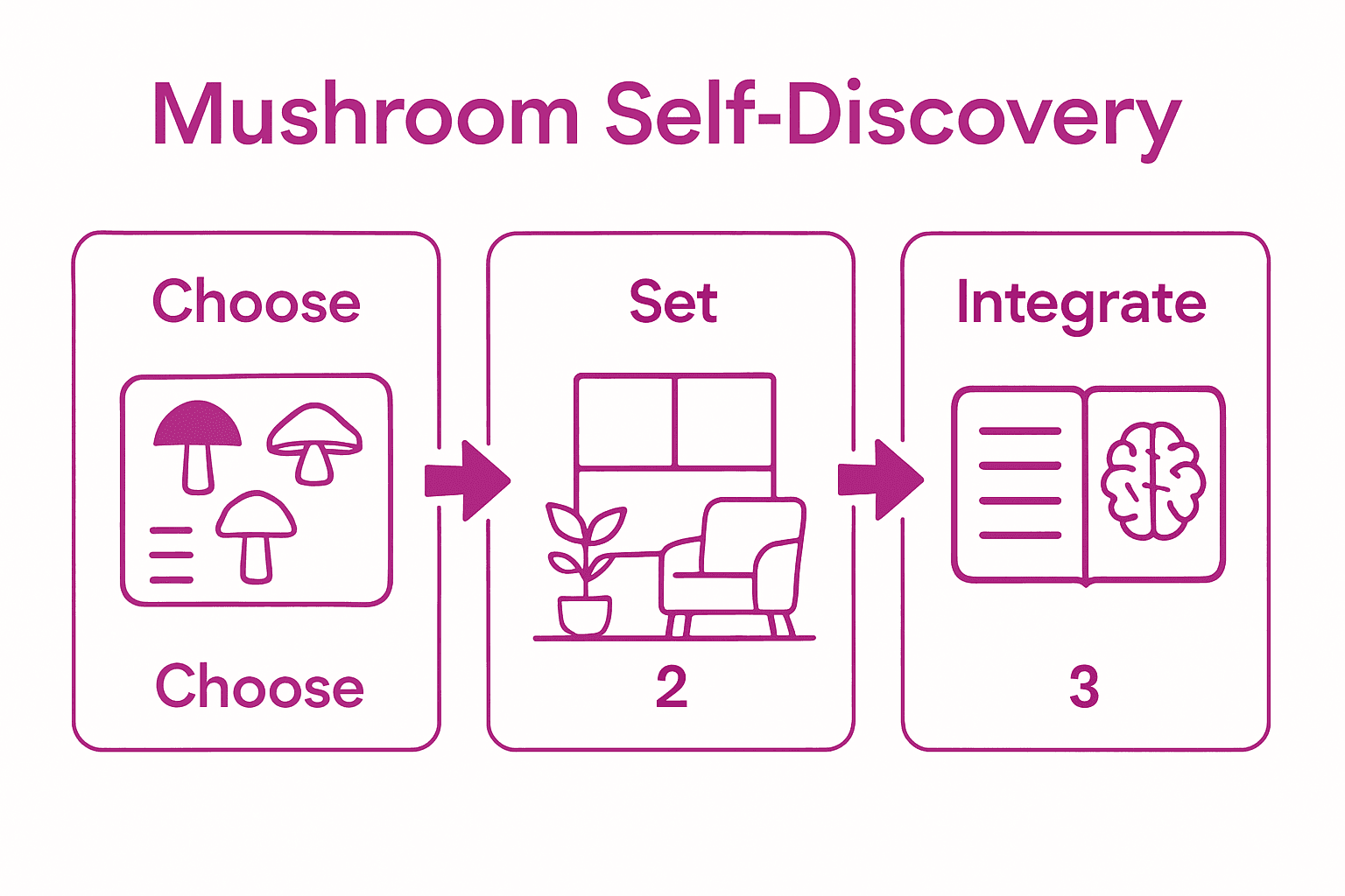 Infographic showing steps for safe mushroom self-discovery: product choice, environment preparation, integration.