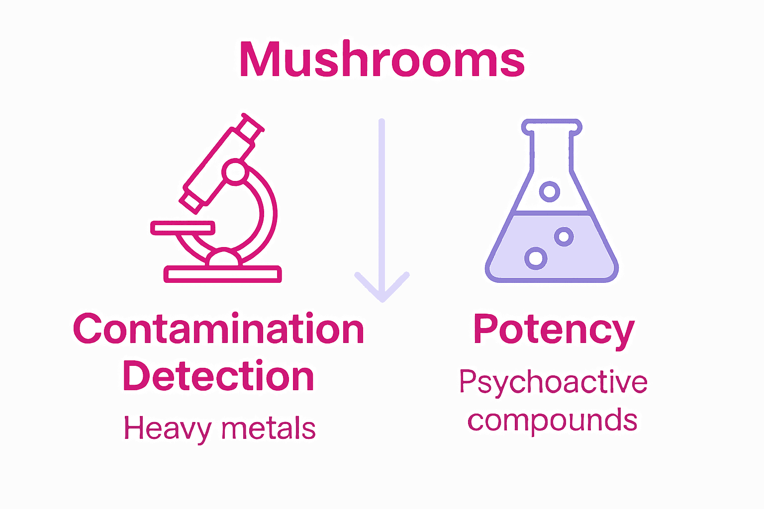 Infographic comparing methods for contamination detection and potency testing in mushrooms.