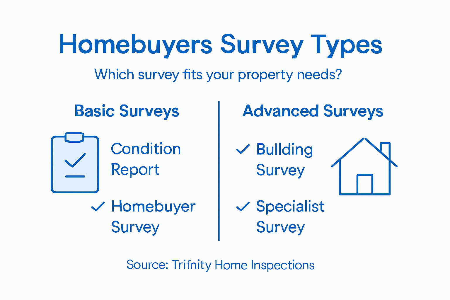 Infographic showing types of homebuyer surveys