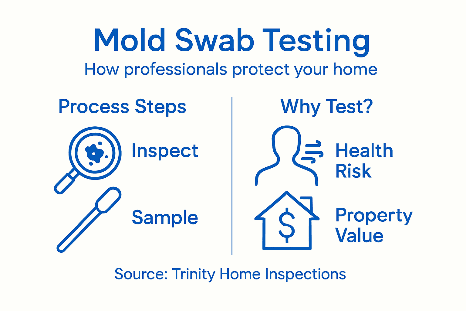 Infographic showing mold testing process and benefits