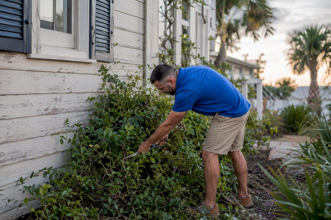 Inspector trimming bushes near home exterior