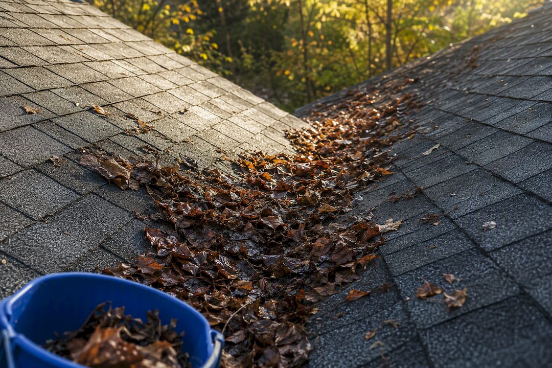 Wet leaves collecting in a roof valley
