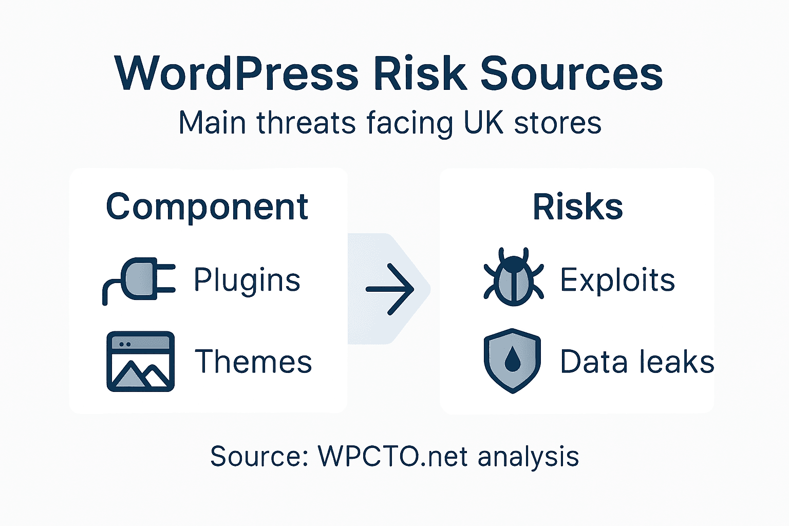 Infographic showing WordPress risk sources and types
