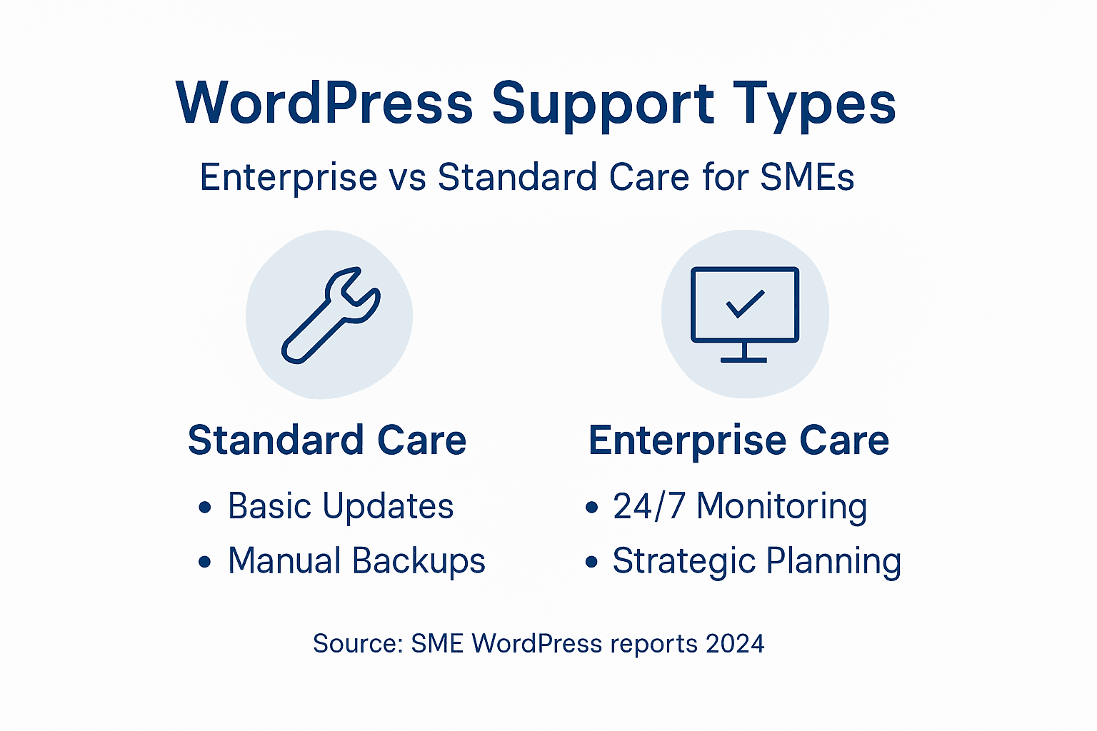 Infographic comparing WordPress support options for SMEs