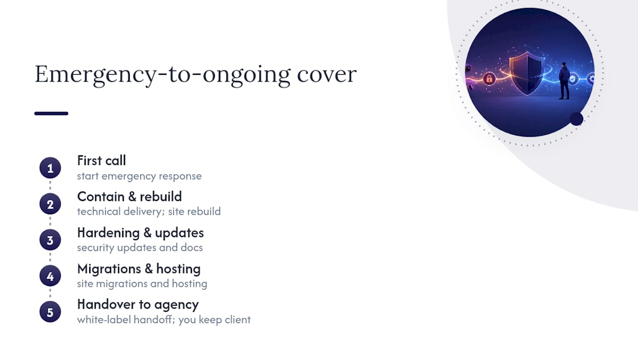 Get emergency recovery and ongoing WordPress cover without hiring for it — overview diagram