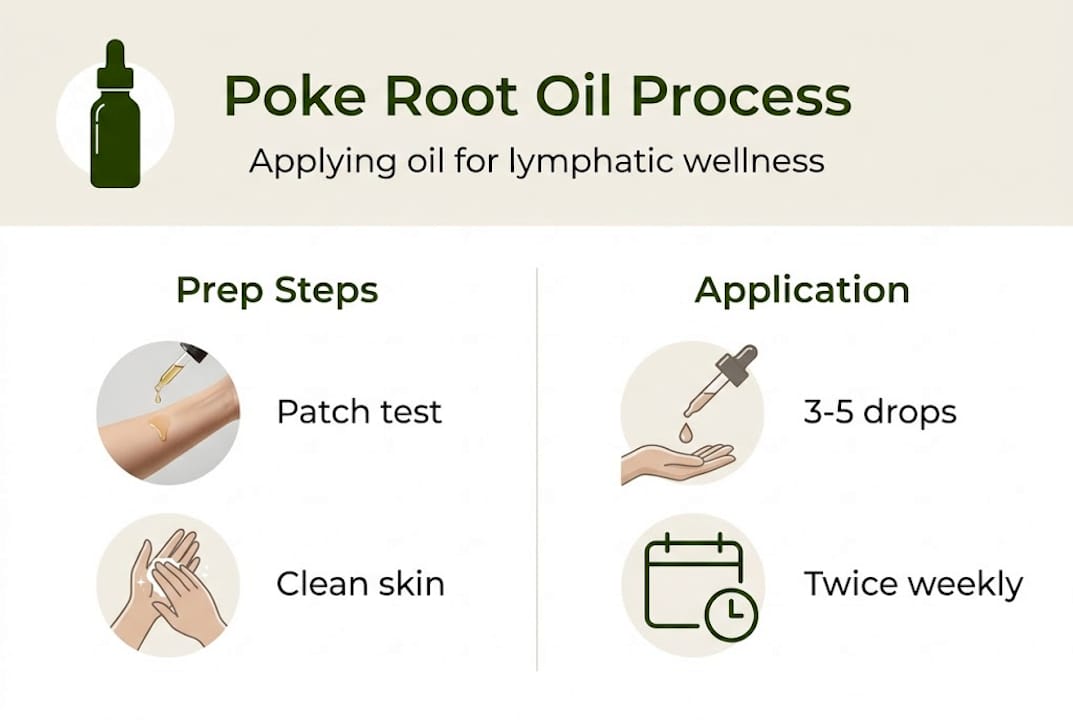 Infographic poke root oil application steps
