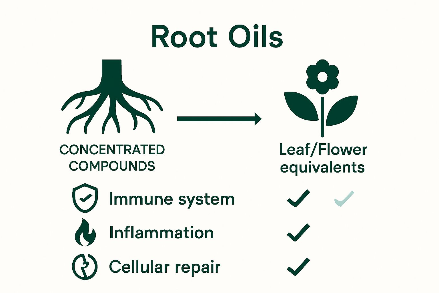 Infographic comparing root oils vs other plant extracts