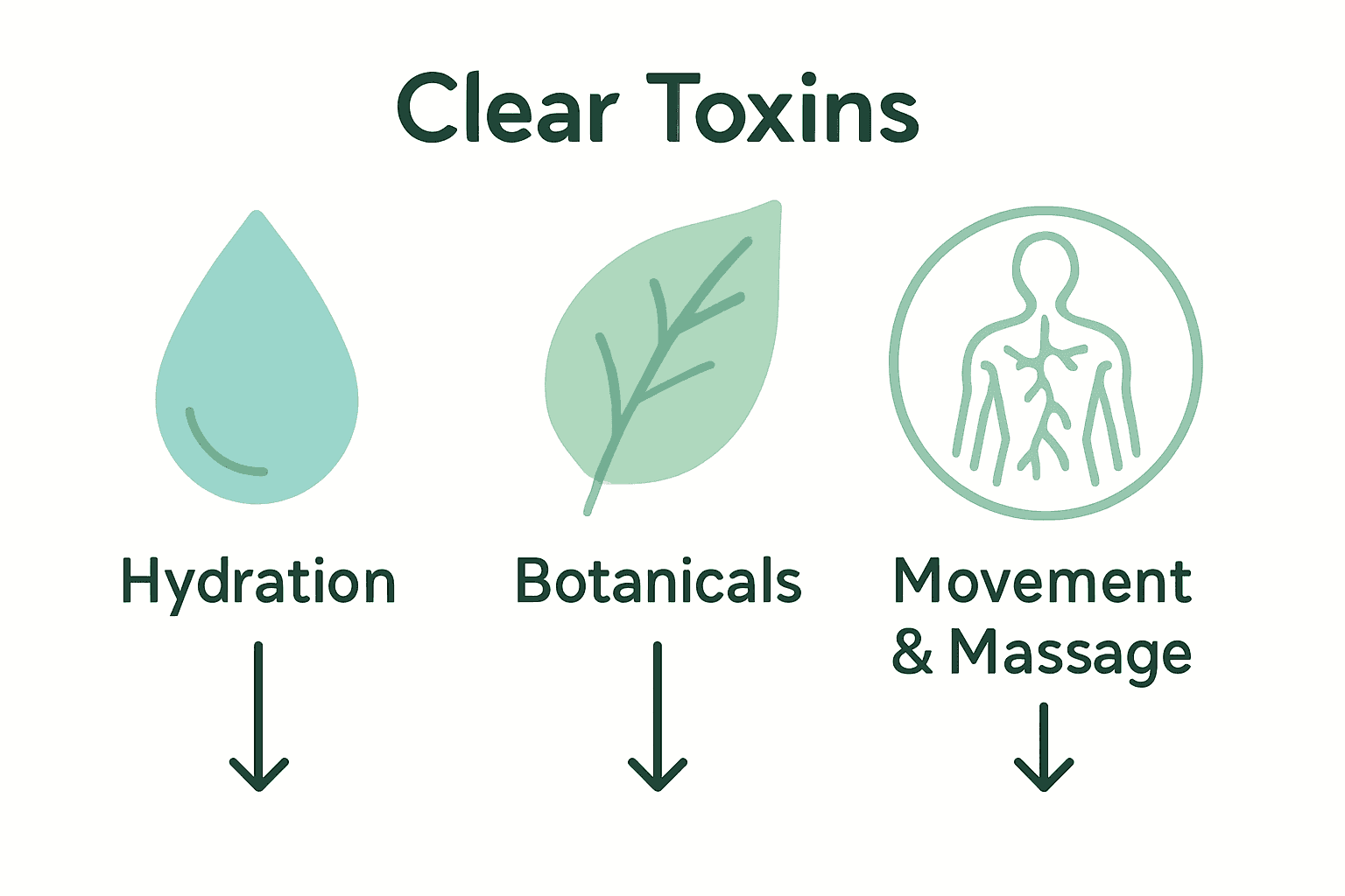 Infographic showing hydration, botanicals, and lymphatic movement for detox.