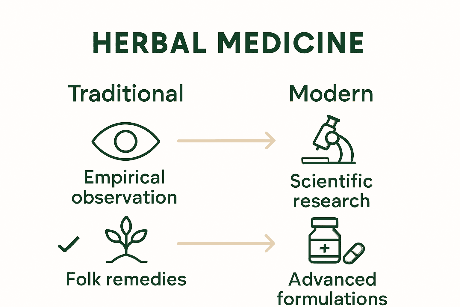 Infographic comparing traditional and modern herbal medicine approaches.