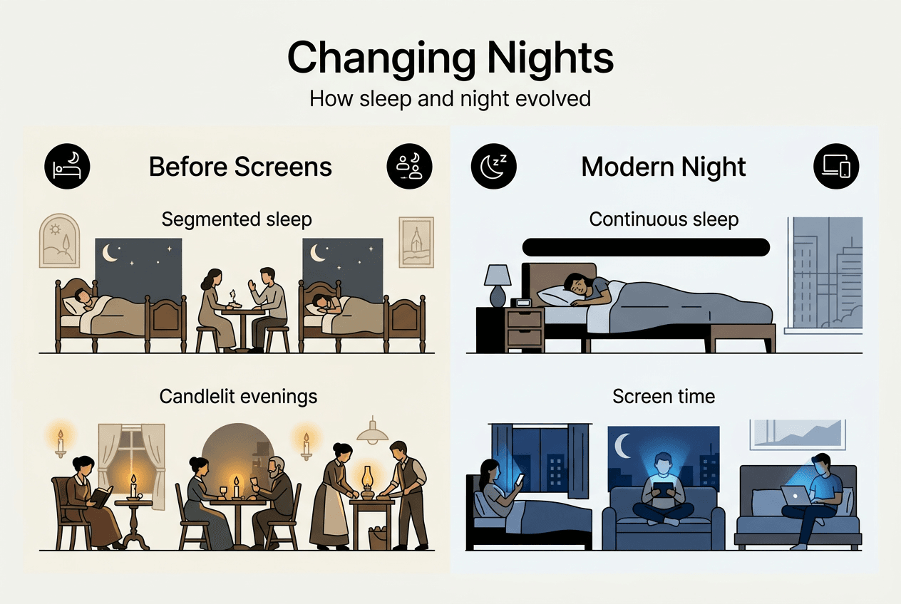 Infographic showing evolution of sleep and night routines