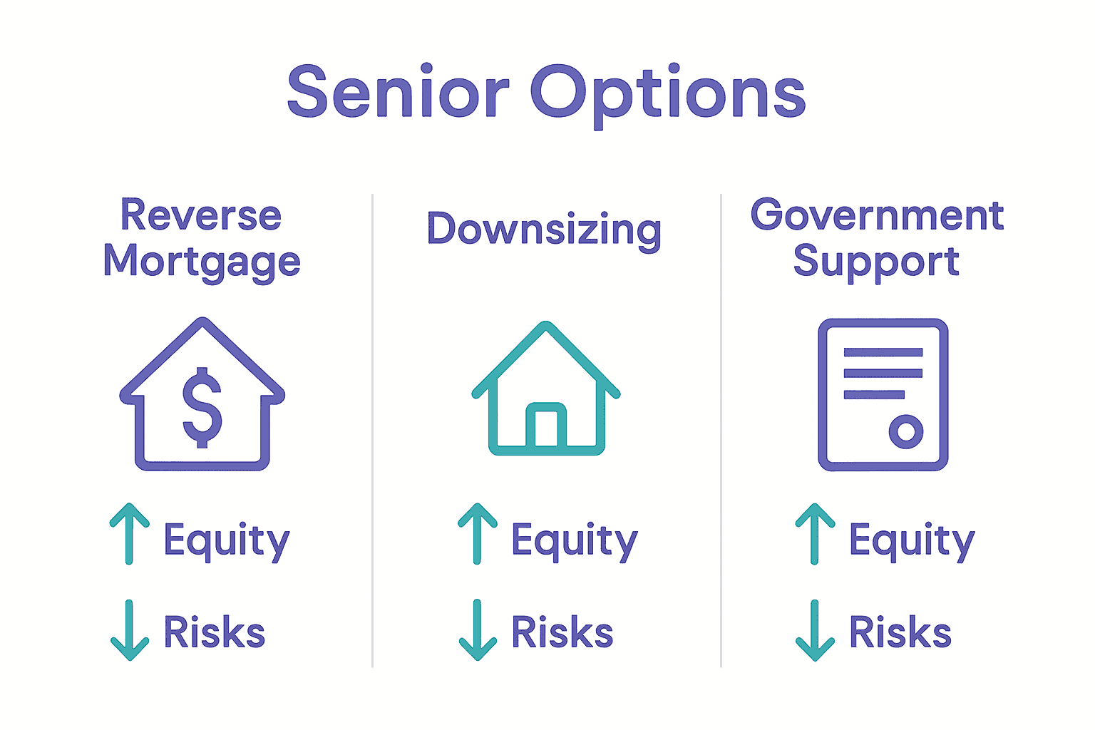 Infographic comparing reverse mortgage, downsizing, and government support for New Zealand seniors.