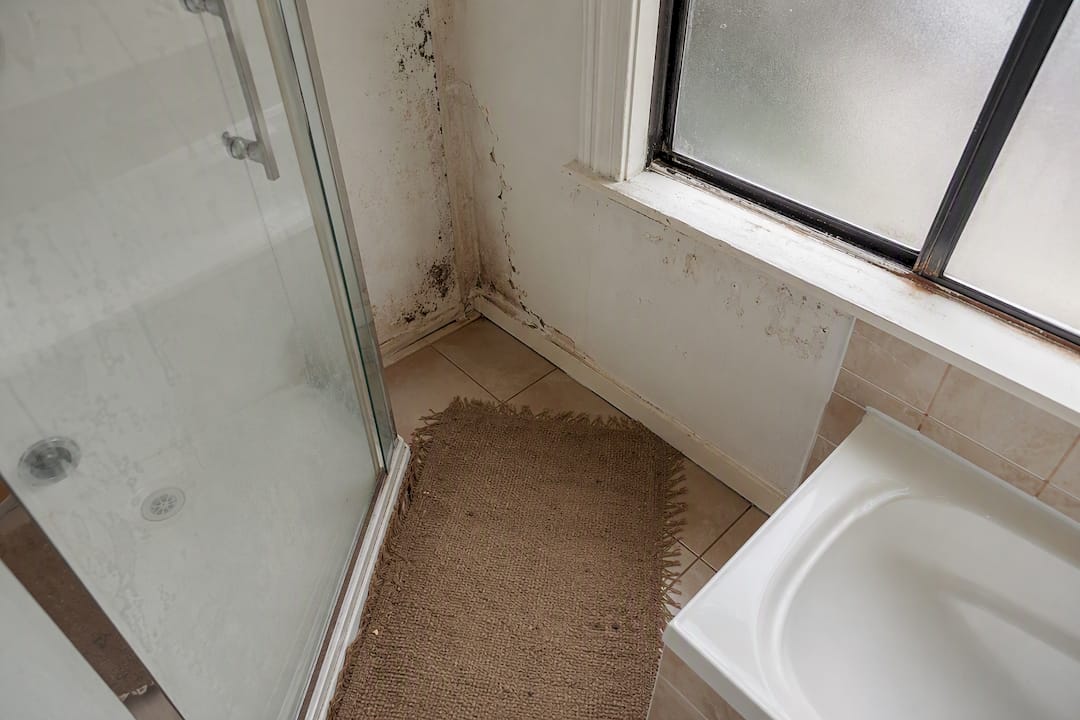 Close-up of damaged NZ bathroom interior