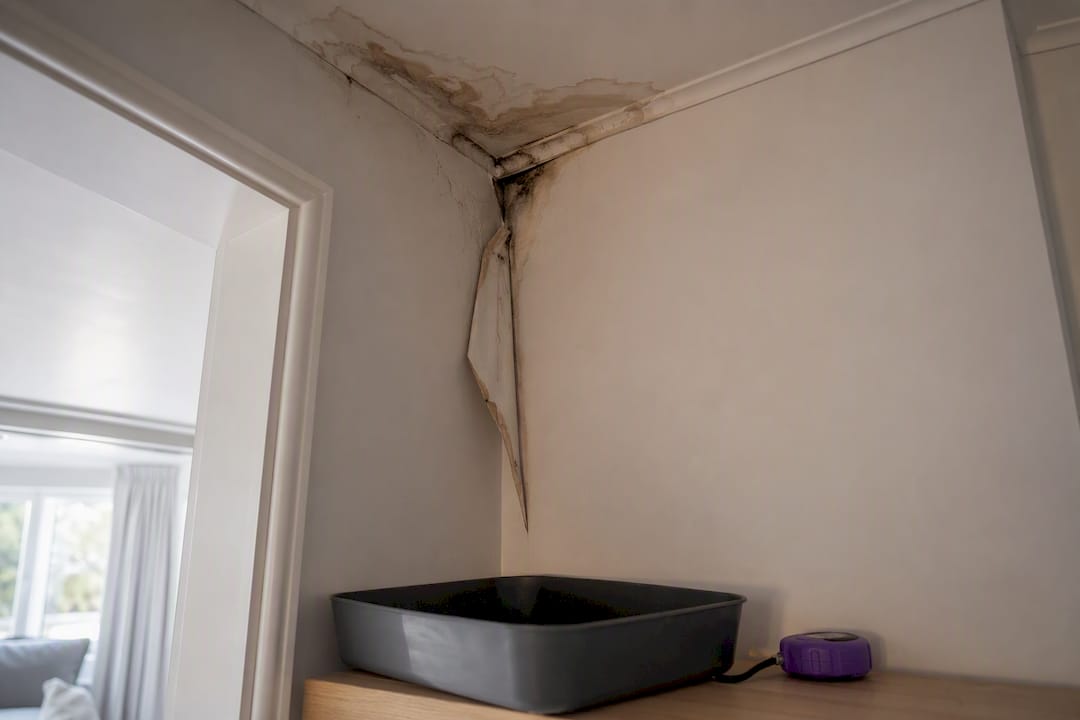 Visible water damage inside a New Zealand home