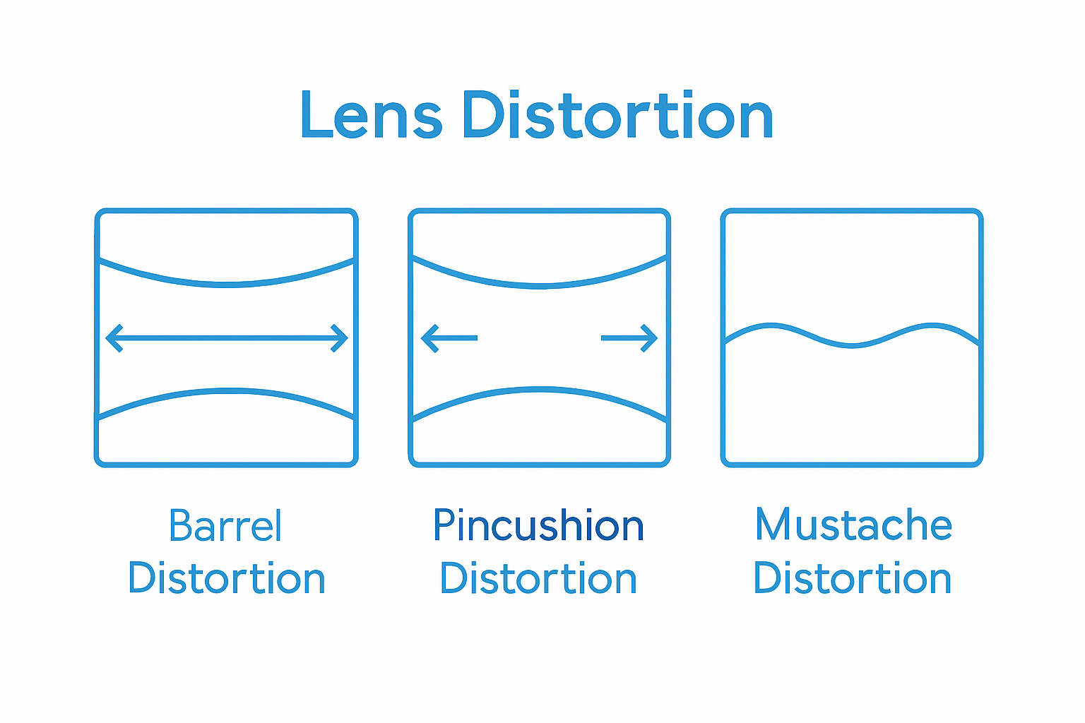 Infographic comparing lens distortion types