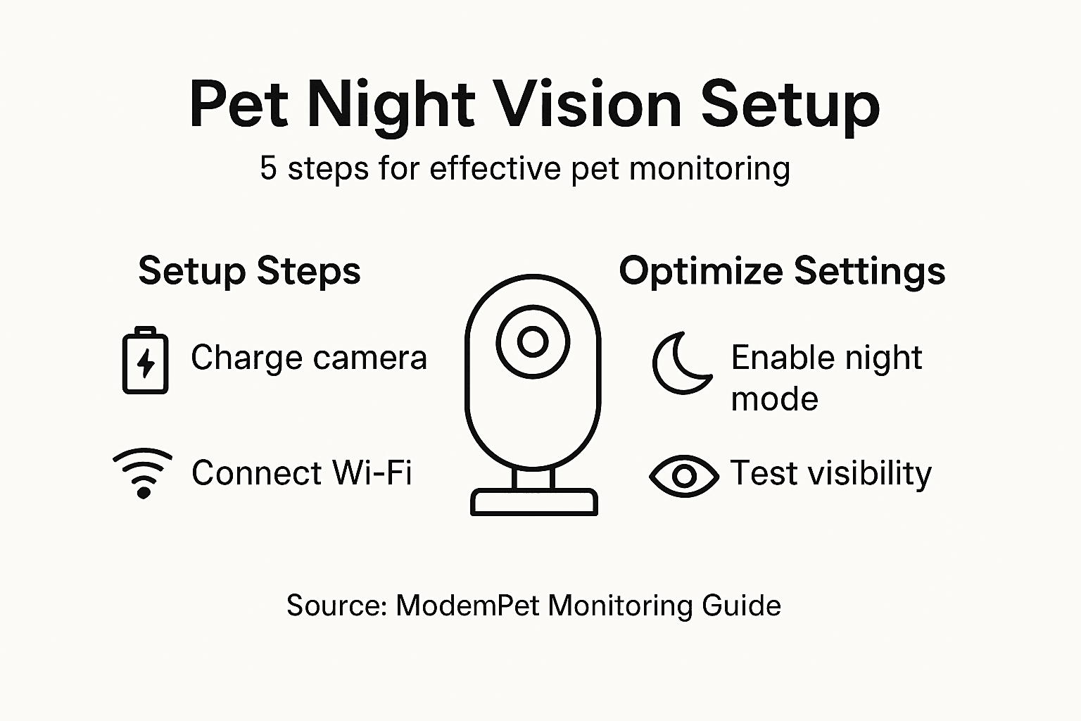 Infographic listing steps for using pet night vision cameras