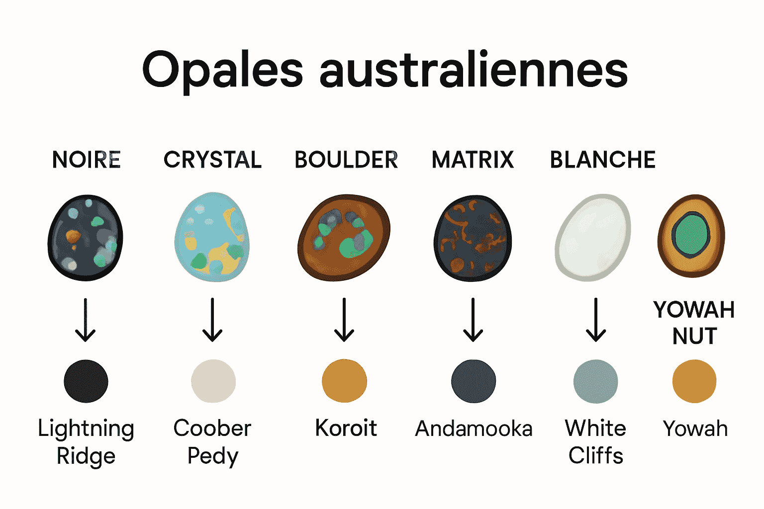 Infographie comparant les types d’opales par couleur et région d’extraction.