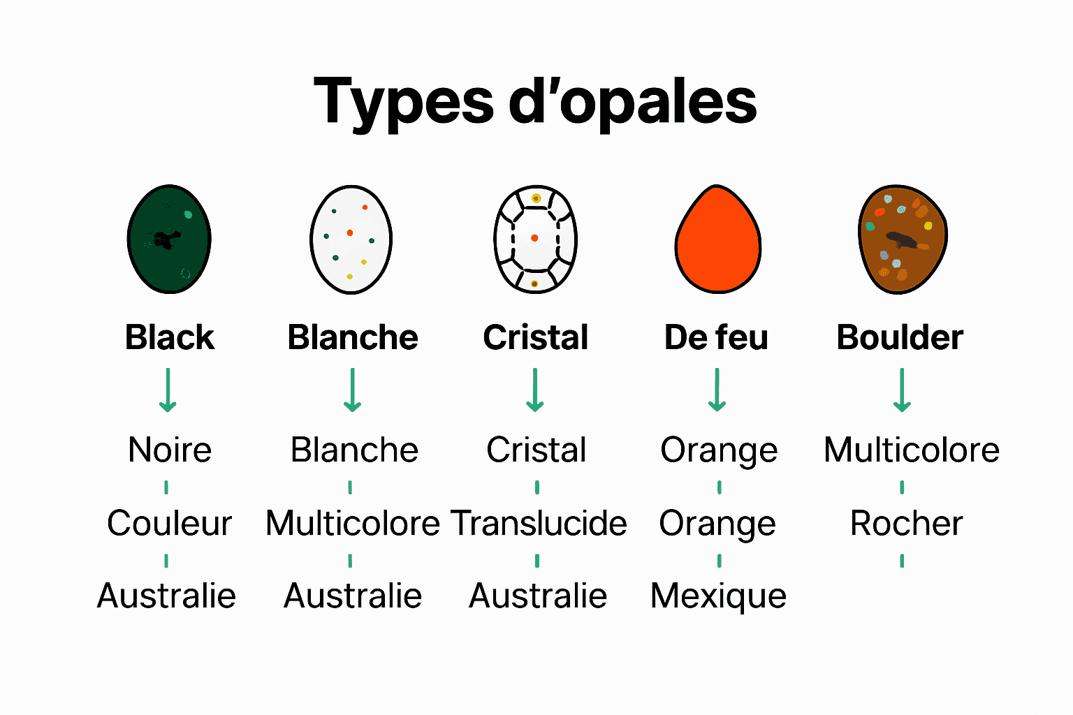 Comparaison visuelle des principaux types d’opales authentiques.