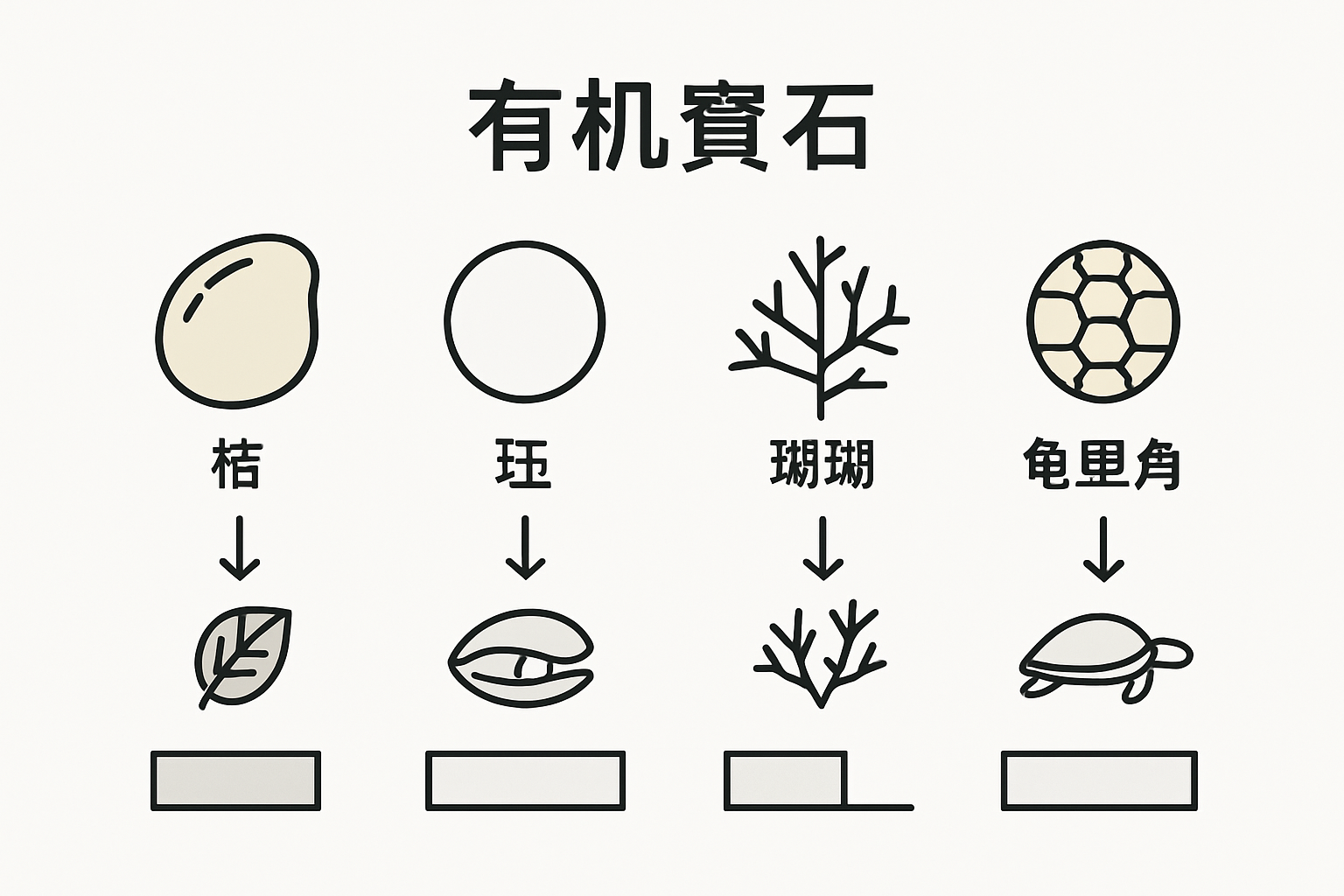 四大有机宝石的形成过程与稀有度一览图