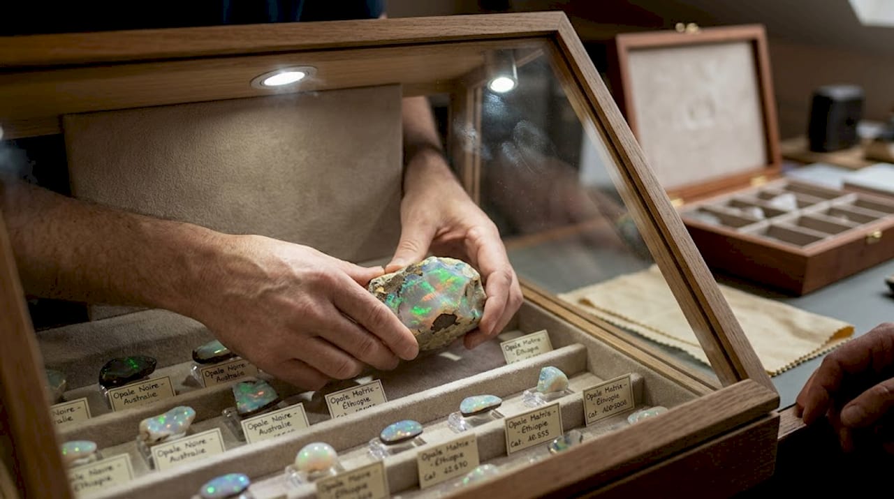 Des mains déposent délicatement une opale matrix dans une vitrine destinée à la collection.
