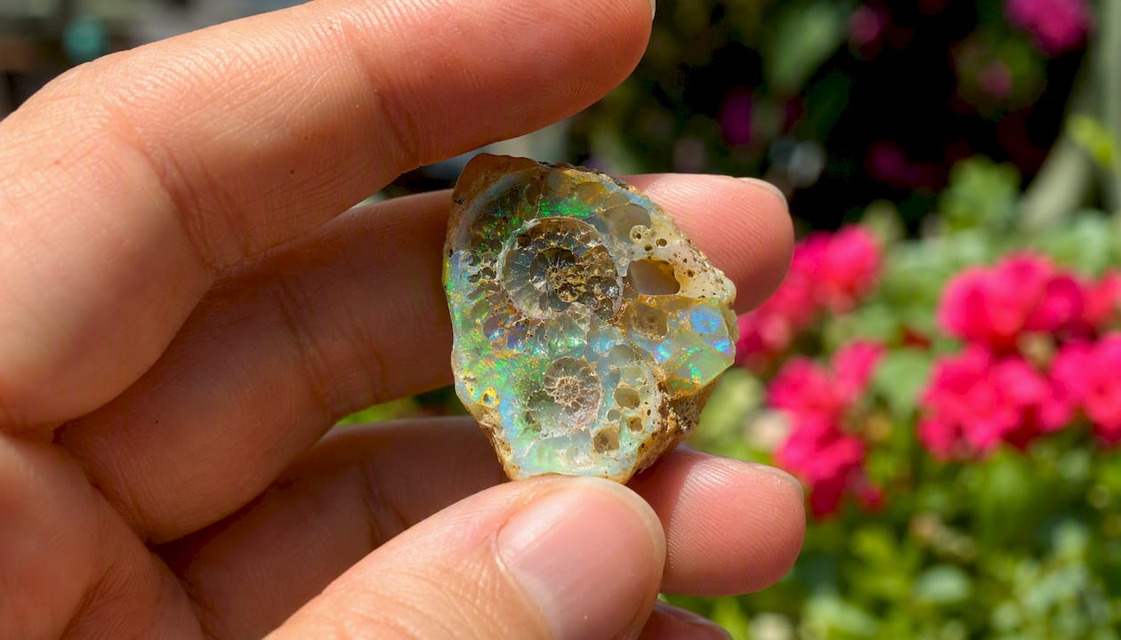 Hand inspecting opal fossil under loupe